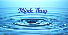 Mệnh Thủy hợp màu gì, kỵ màu gì? Cách chọn màu hợp mệnh Thủy