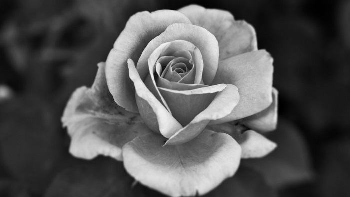 Avatar hình ảnh buồn, ảnh đen buồn cho những người mất người thân