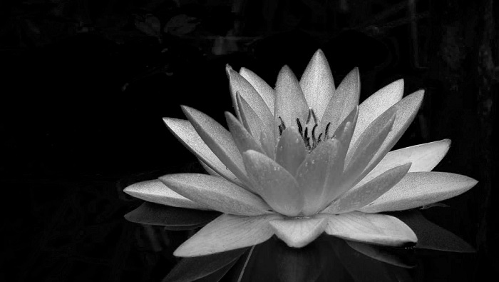 Avatar hình ảnh buồn, ảnh đen buồn cho những người mất người thân