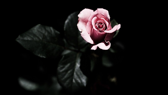 Avatar hình ảnh buồn, ảnh đen buồn cho những người mất người thân