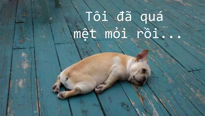 Những hình ảnh buồn về cuộc sống chán nản, mệt mỏi