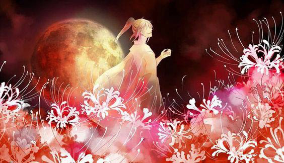 Ảnh hoa bỉ ngạn buồn 13