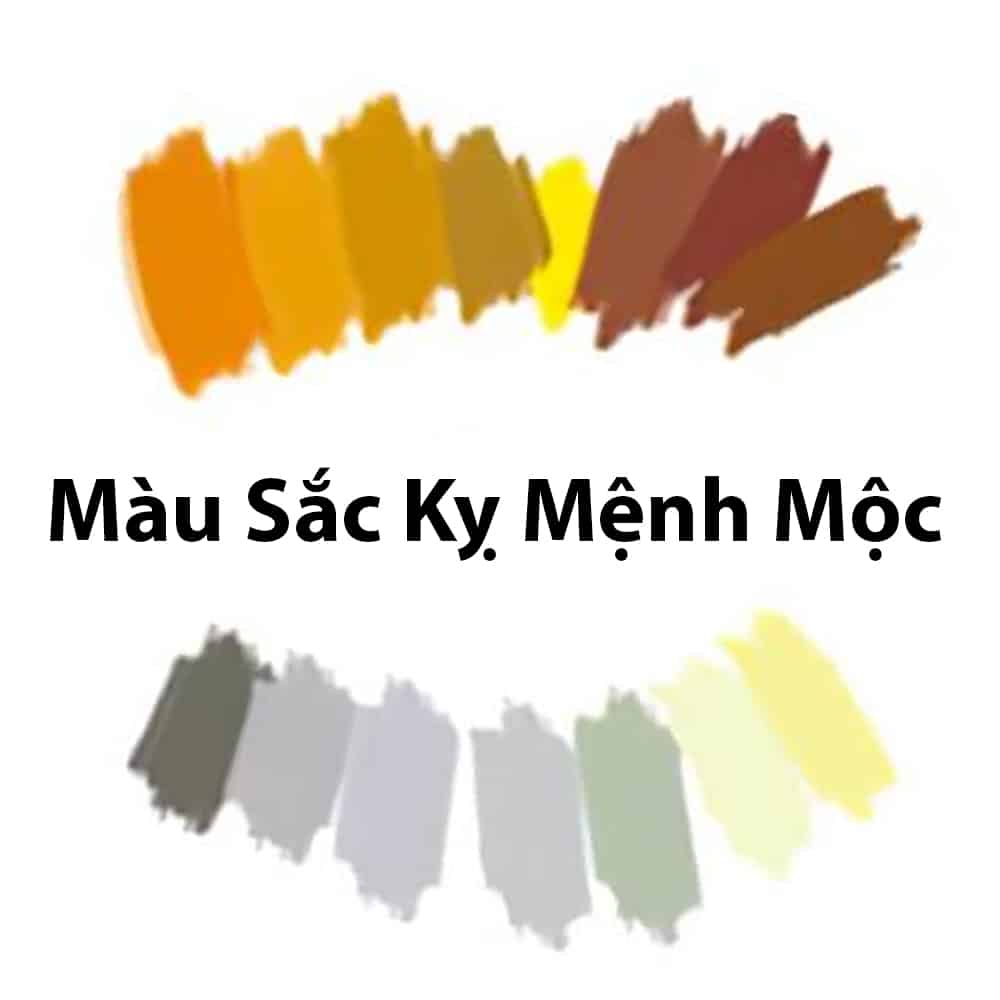 Mệnh Mộc kỵ màu gì?
