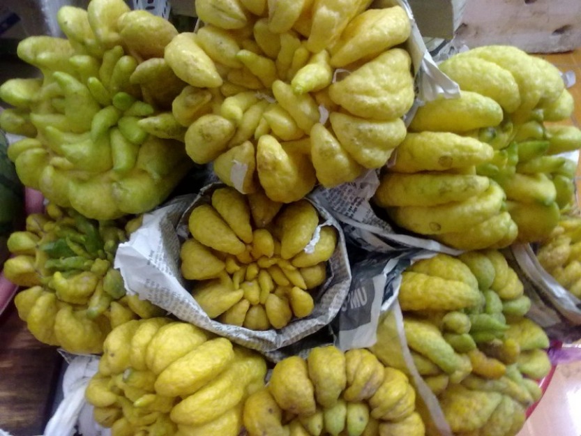 Cách chọn quả Phật thủ đẹp Cách chọn quả Phật thủ đẹp