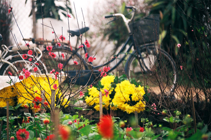 Stt tạm biệt năm cũ