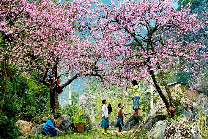 Những câu thơ, bài thơ ngắn về mùa xuân của các thi sĩ nổi tiếng