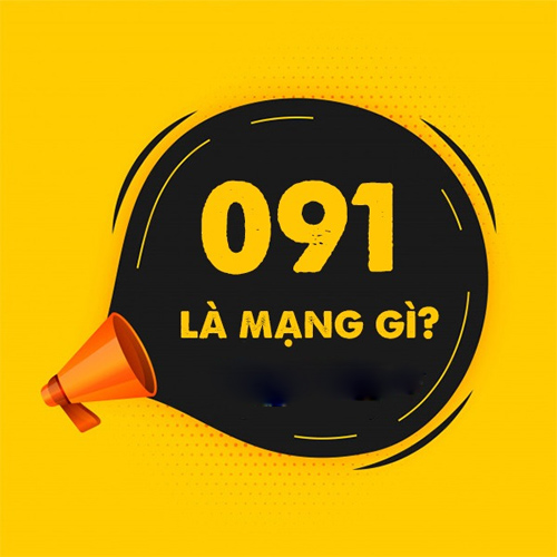 Đầu số 091 là mạng gì