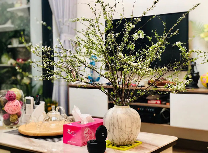 Cách cắm hoa tuyết mai Cách cắm hoa tuyết mai