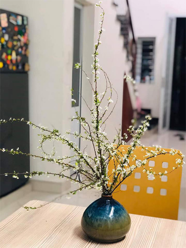 Cách cắm hoa tuyết mai Cách cắm hoa tuyết mai