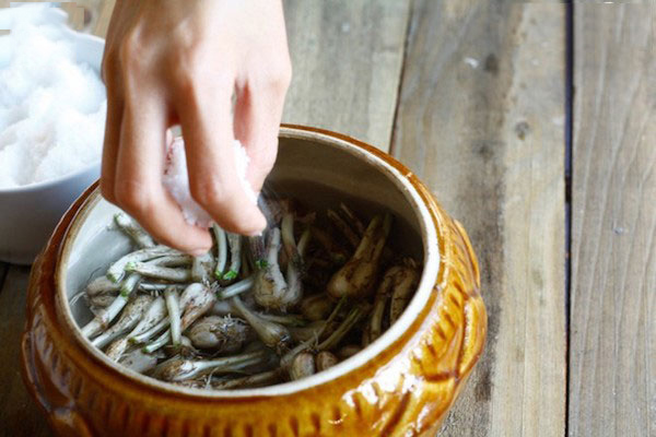 Sơ chế củ kiệu