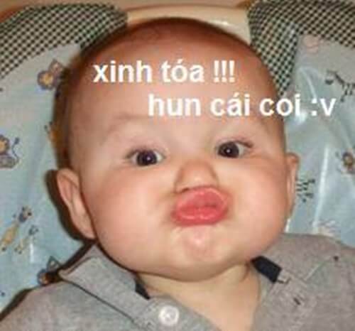 Ảnh comment hài Ảnh comment hài