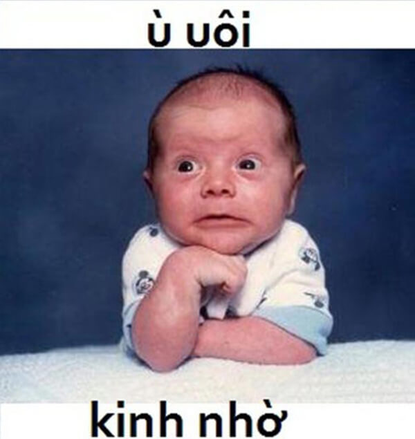 Ảnh comment hài Ảnh comment hài