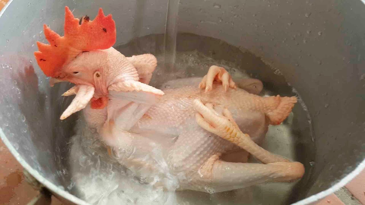 Cách luộc gà cúng chuẩn nhất