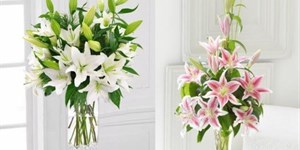 Cách giữ hoa tươi lâu ngày Tết với 7 mẹo cực hiệu quả