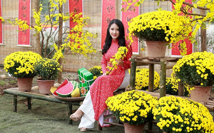 Ý nghĩa của hoa cúc mâm xôi Ý nghĩa của hoa cúc mâm xôi