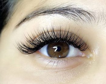 Nối mi đuôi cá Nối mi đuôi cá