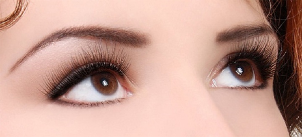 Nối mi hoa hồng đen Nối mi hoa hồng đen