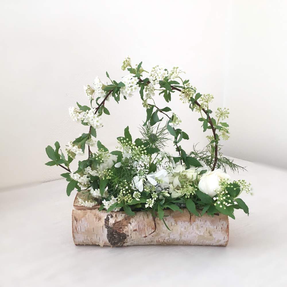 Bình hoa tiểu túc cầu