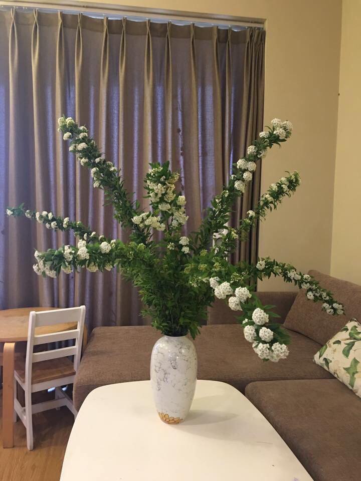 Cách cắm hoa tiểu túc cầu