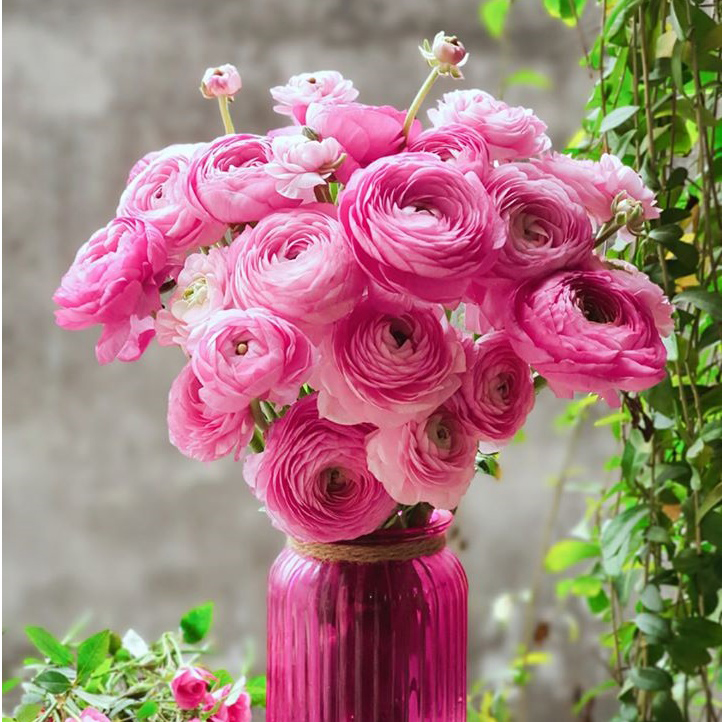 Mẫu bình hoa mao lương đẹp Mẫu bình hoa mao lương đẹp