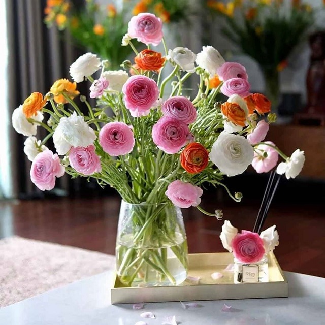 Cắm hoa mao lương để bàn Cắm hoa mao lương để bàn