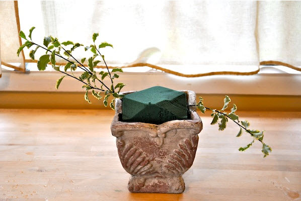 Cách cắm hoa mao lương Cách cắm hoa mao lương