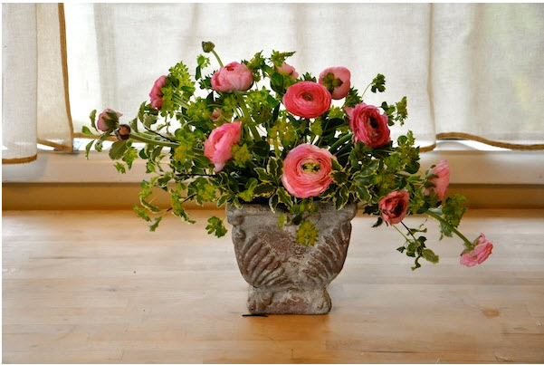 Cắm hoa mao lương nhanh Cắm hoa mao lương nhanh