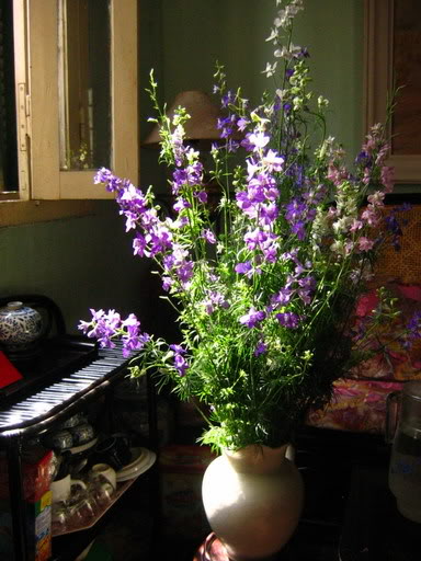 Mẫu cắm violet đẹp Mẫu cắm violet đẹp