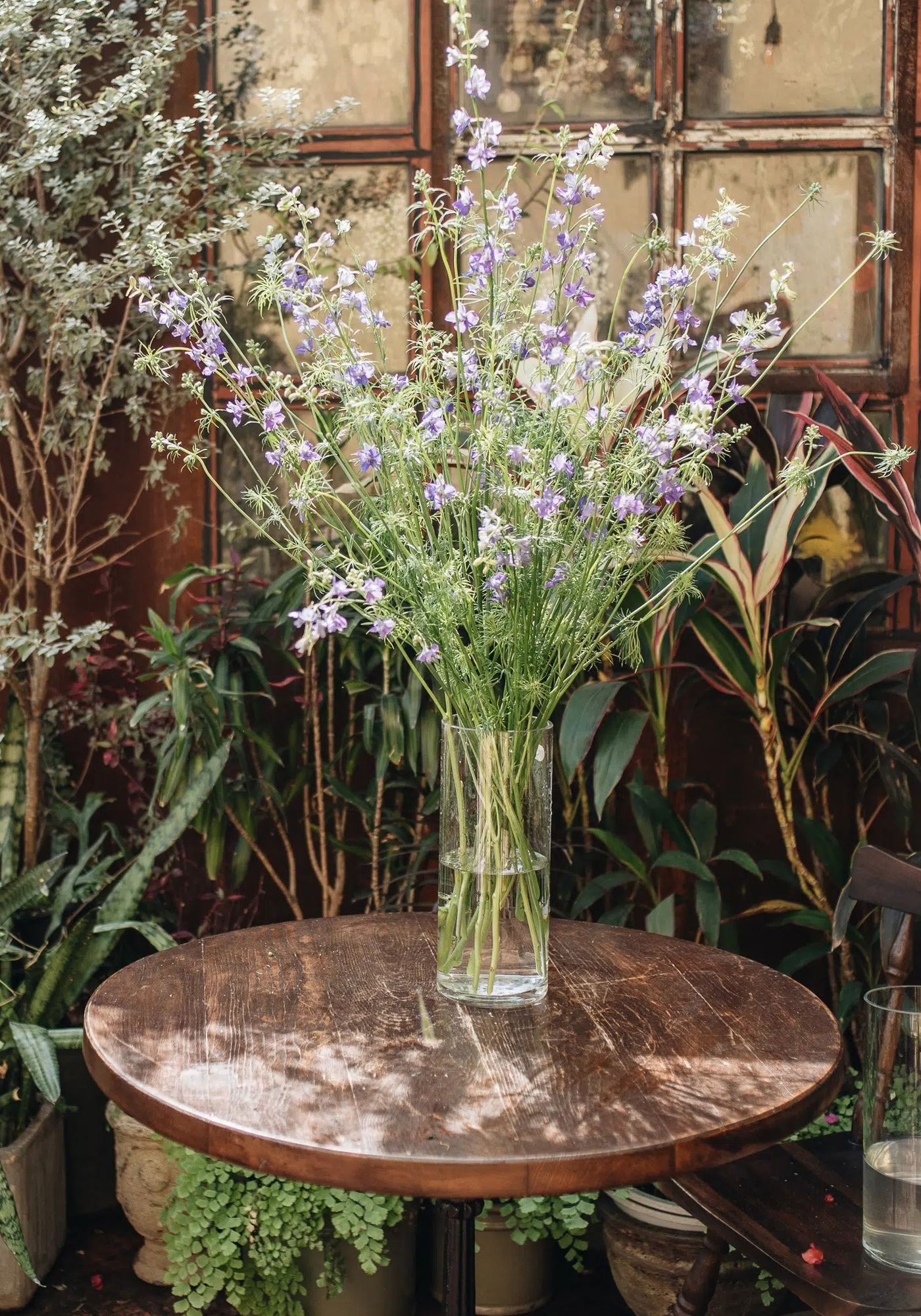 Cách cắm hoa violet bày Tết Cách cắm hoa violet bày Tết