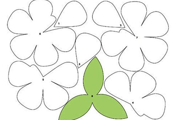 Vẽ hình cánh hoa ra giấy A4