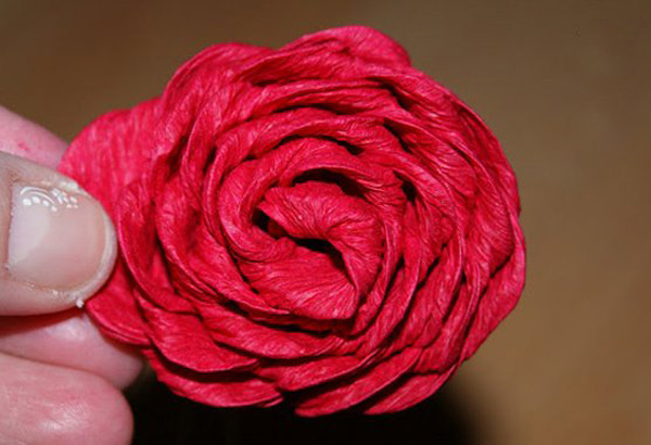 Buộc bông hoa hồng lại thật chặt