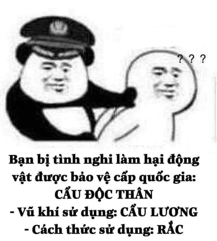 Meme ăn cẩu lương