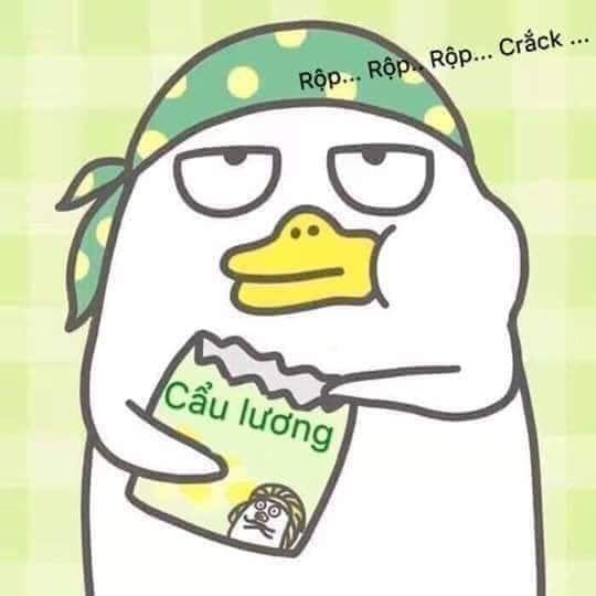 Meme cẩu lương vui