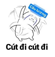 Meme cẩu lương