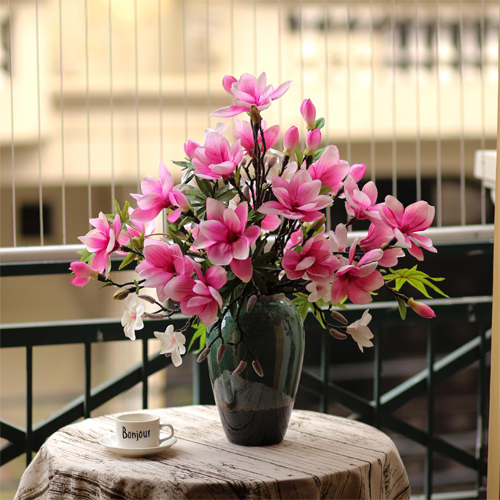 Ý nghĩa của hoa mộc lan Ý nghĩa của hoa mộc lan