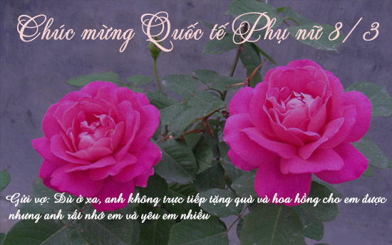 Hình ảnh 5 chúc mừng vợ nhân ngày 8 - 3