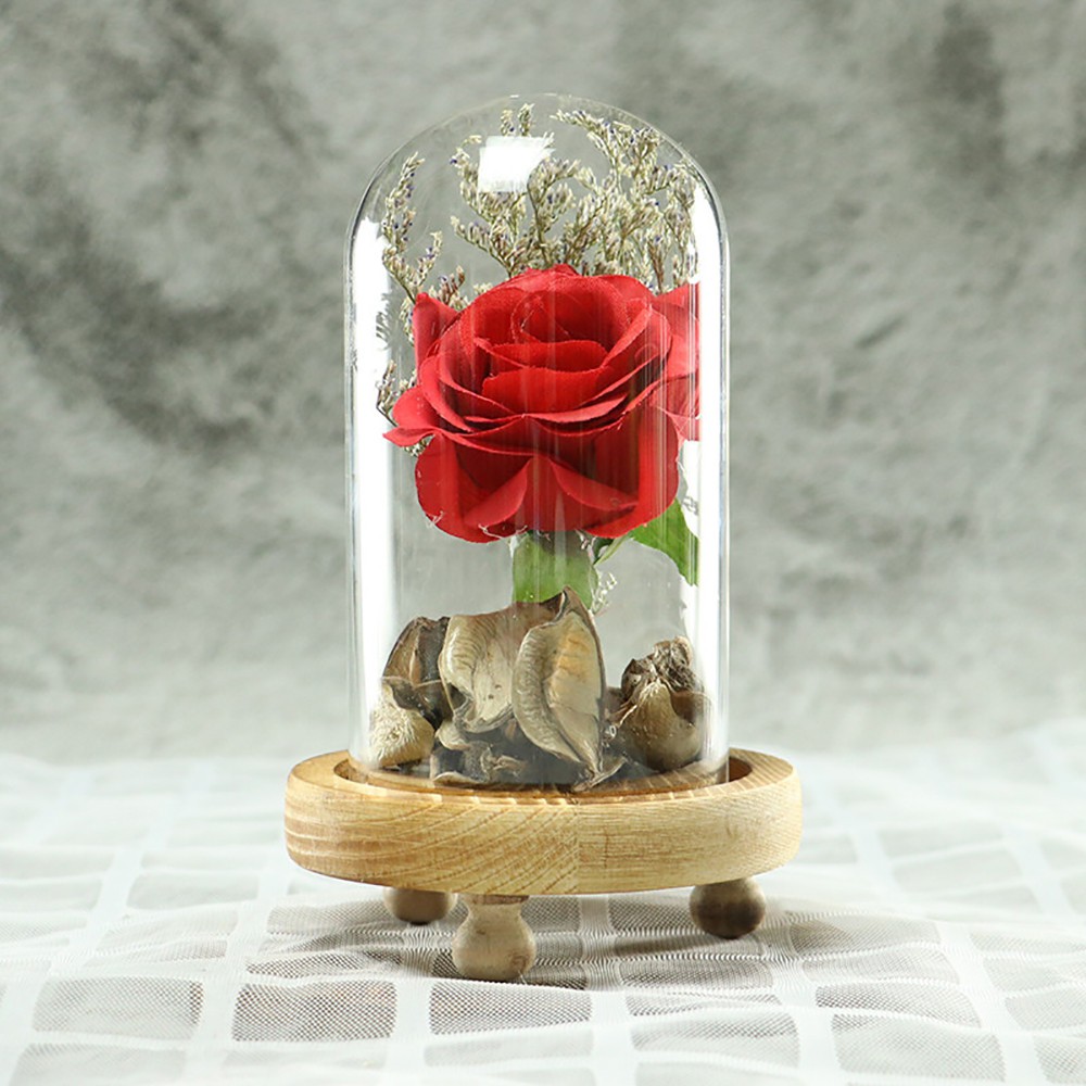 Ảnh hoa mùng 8 tháng 3