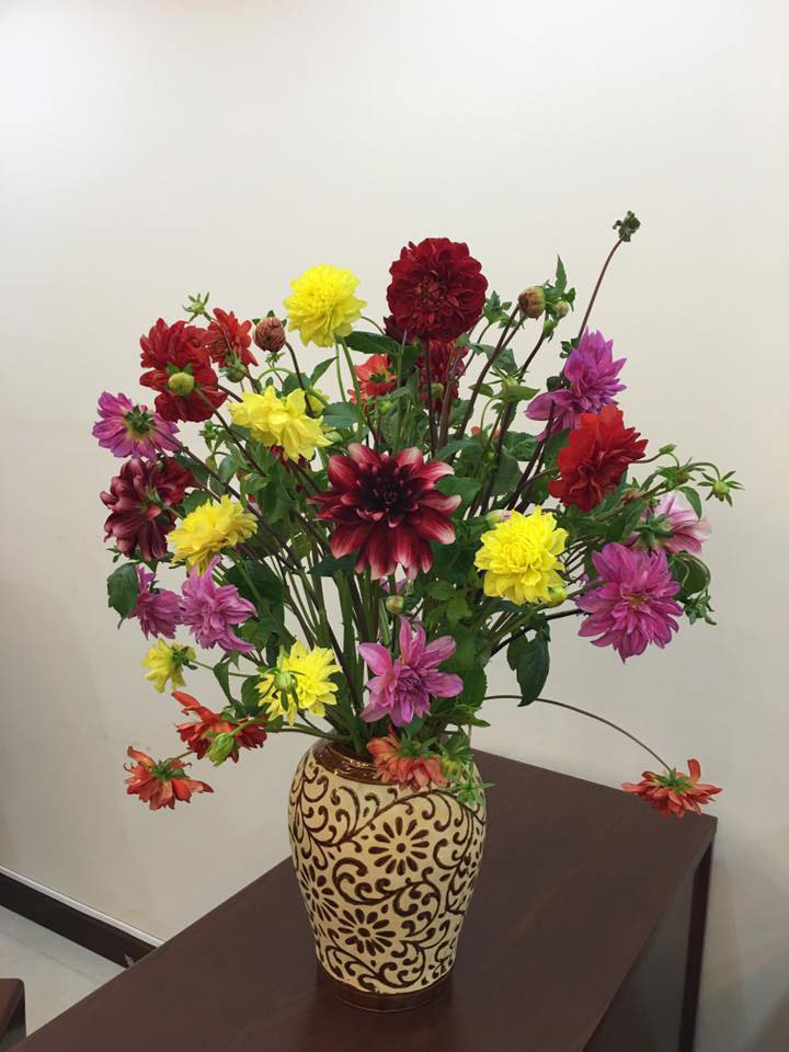 Hướng dẫn cách cắm hoa thược dược ngày Tết đẹp Hướng dẫn cách cắm hoa thược dược ngày Tết đẹp