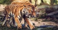 Năm 2022 là năm con gì và mệnh gì? Sinh con năm 2022 tháng nào tốt?