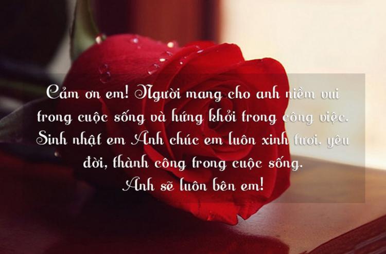 Thiệp chúc mừng sinh nhật vợ Thiệp chúc mừng sinh nhật vợ