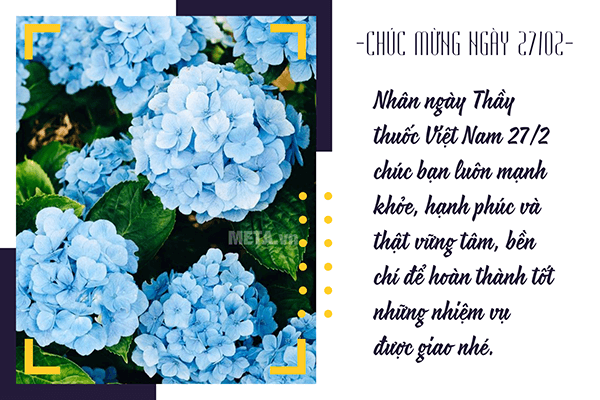 Hoa chúc mừng ngày Thầy thuốc Việt Nam gửi tới đội ngũ nhân viên y tế Hoa chúc mừng ngày Thầy thuốc Việt Nam gửi tới đội ngũ nhân viên y tế
