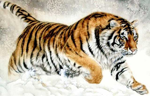 Vận mệnh nữ tuổi Nhâm Dần năm 2022 Vận mệnh nữ tuổi Nhâm Dần năm 2024