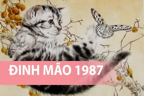 Vận hạn tuổi Đinh Mão năm 2021 Vận hạn tuổi Đinh Mão năm 2024