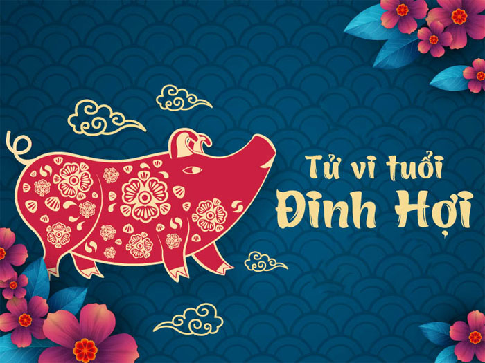 Vận hạn tuổi Đinh Hợi năm 2022: Tuổi Đinh Hợi năm 2022 sao gì chiếu? Vận hạn tuổi Đinh Hợi năm 2024: Tuổi Đinh Hợi năm 2024 sao gì chiếu?