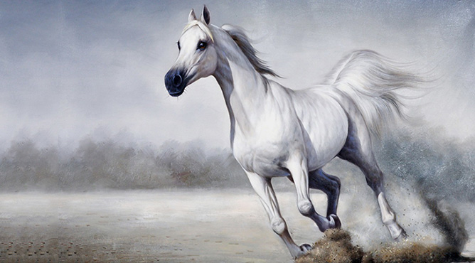 Tuổi Ngọ sao gì chiếu mệnh năm 2024?