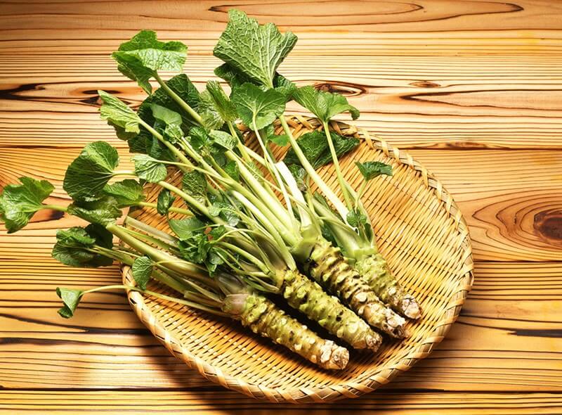 Đặc điểm của wasabi Đặc điểm của wasabi