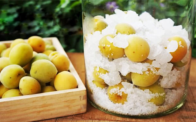 Nước mơ ngâm Nước mơ ngâm