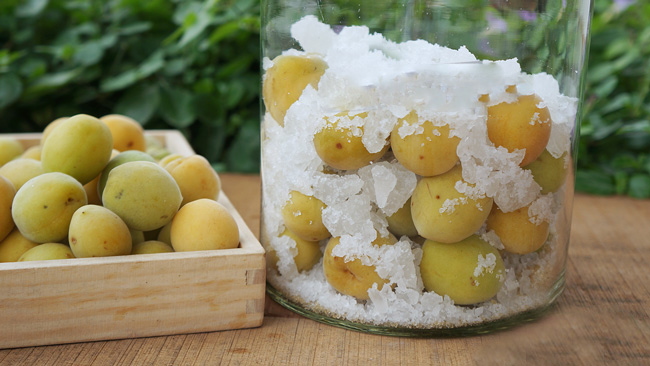 Ngâm rượu mơ với đường