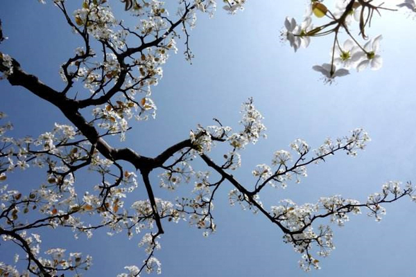 Nguồn gốc Tết Thanh minh Nguồn gốc Tết Thanh minh