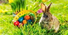 Thỏ Phục sinh (Easter Bunny) là gì? Câu chuyện và ý nghĩa của Thỏ Phục sinh